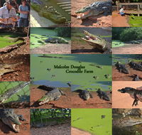 The Malcolm Douglas Crocodile Park - Holiday Find