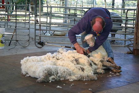 Caversham Wildlife Park - Holiday Find 3