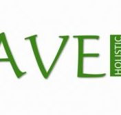 Agave Holistic Day Spa  Beauty - Holiday Find