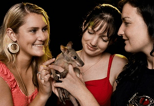 Cairns Night Zoo - Holiday Find 1