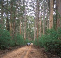 Boranup Drive - Holiday Find