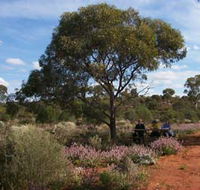 Karlkurla Bushland Park - Holiday Find