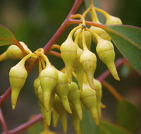 Mount Short Scenic Drive - Holiday Find