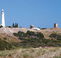 Wadjemup Lighthouse - Holiday Find