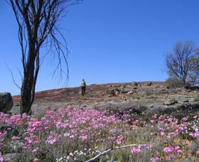 Talgomine Reserve - Holiday Find 0