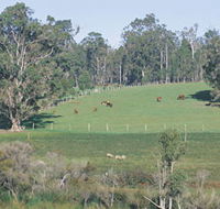 Scenic Drives - Bunbury Collie Donnybrook - Holiday Find