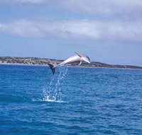 Steep Point - Holiday Find