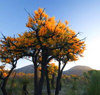 Cape Le Grand National Park - Holiday Find