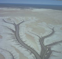 Tidal Flats - Holiday Find