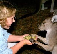 Discovery Bay's Walk on the Wild Side - Holiday Find