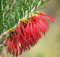 Ethel Daw Scenic Drive - Holiday Find