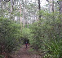 Margaret River Rails Trail - Holiday Find