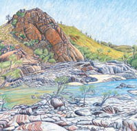 Red Dirt Arts - Holiday Find