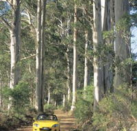 Scotsdale Tourist Drive - Holiday Find