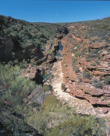 Ross Graham Lookout - Holiday Find 0