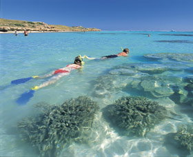 Purdy Point - Holiday Find 0