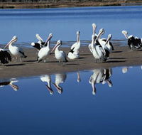 Peel Region Canoe Trails - Holiday Find