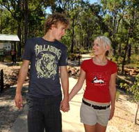 Crooked Brook Forest - Holiday Find