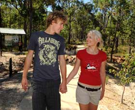 Crooked Brook Forest - Holiday Find 0