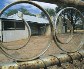 Youndegin - Holiday Find 0