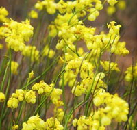Mount Madden Scenic Drive - Holiday Find