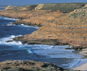 Eagle Gorge - Holiday Find 0