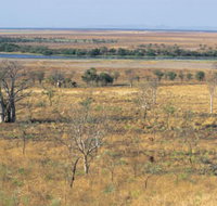 Telegraph Hill - Holiday Find