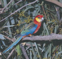 King River - Holiday Find