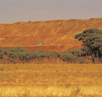 Golden Valley - Holiday Find