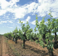 Blackwood Meadery - Holiday Find