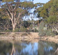 Merredin Railway Dam - Holiday Find