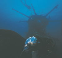 Swan Dive Wreck - Holiday Find