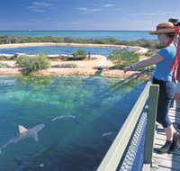 Shark Bay Marine Park - Holiday Find
