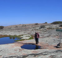 Dingo Rock - Holiday Find