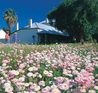 Greenough Museum - Holiday Find