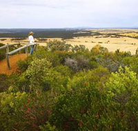 Archer Drive Scenic Drive and Lookout - Holiday Find