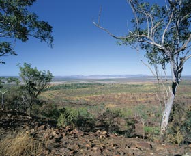 Three Mile Valley - Holiday Find 0