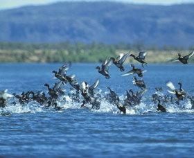 Ord River - Holiday Find 0