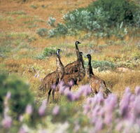 Jurabi Coastal Reserve - Holiday Find