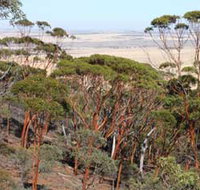 Mount Matilda Walk Trail Wongan Hills - Holiday Find