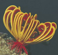 Lighthouse Bay - Holiday Find