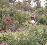 The Mythic Mazes - Holiday Find