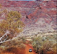 Mount Nameless - Holiday Find