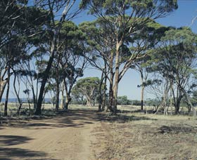 Lake Dumbleyung - Holiday Find 0