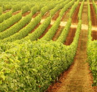 MadFish Wines Margaret River - Holiday Find