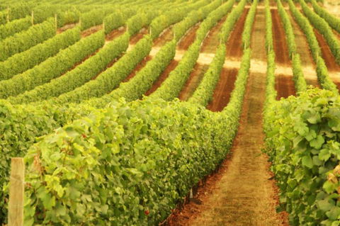 Xanadu Wines - Holiday Find 0