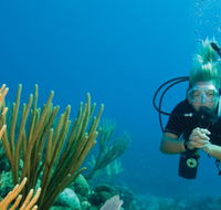 Coastal Water Dive - Holiday Find