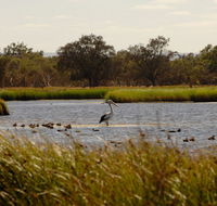 Anytime Adventures in Mandurah  the Peel Region