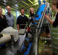 Eyre Peninsula's Seafood Trail - Holiday Find
