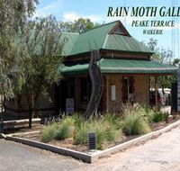 Rain Moth Gallery - Holiday Find